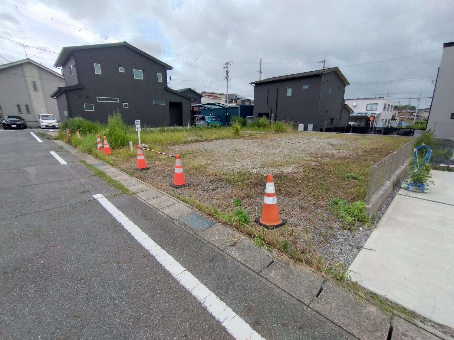 5号地