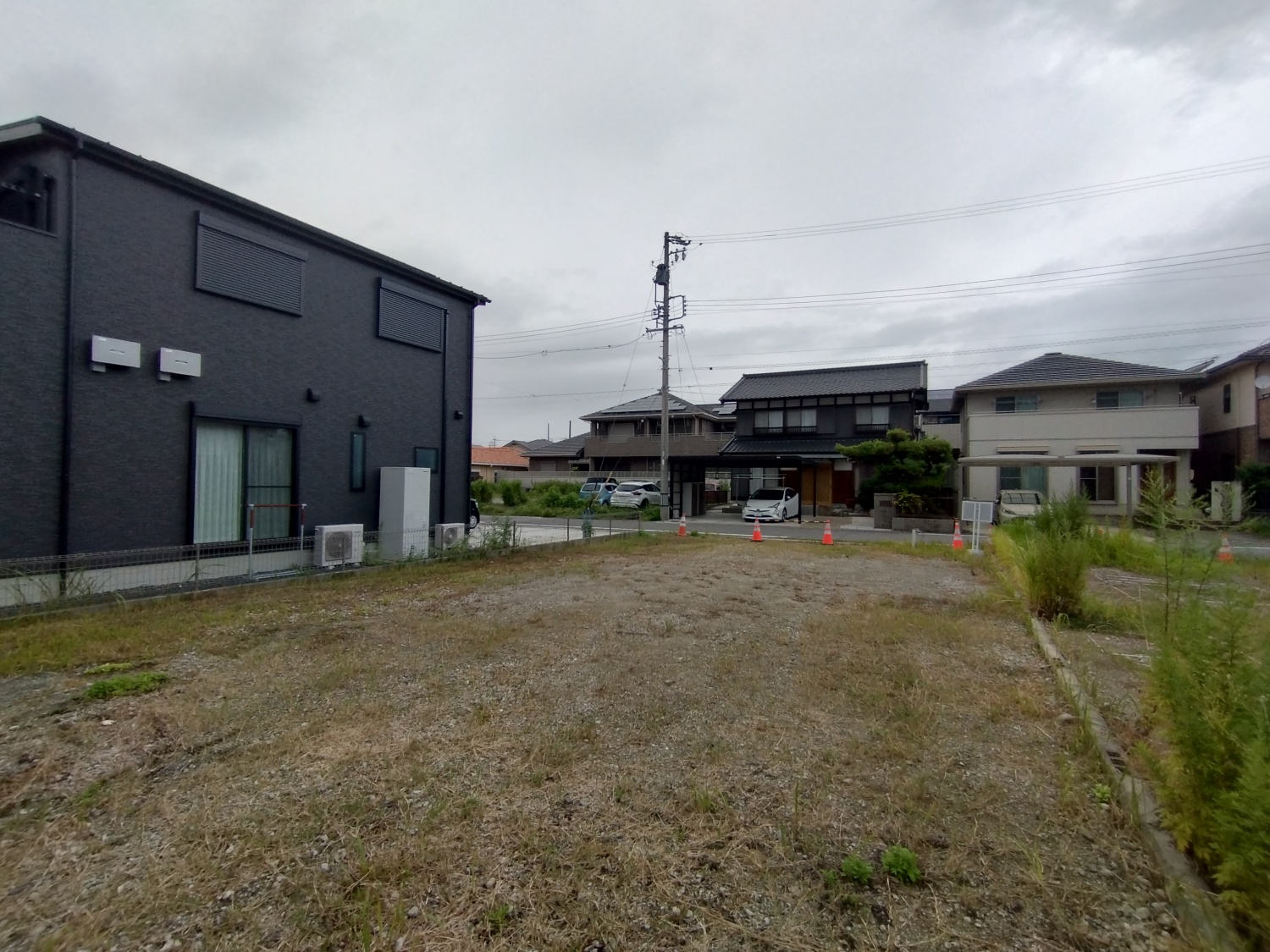 5号地